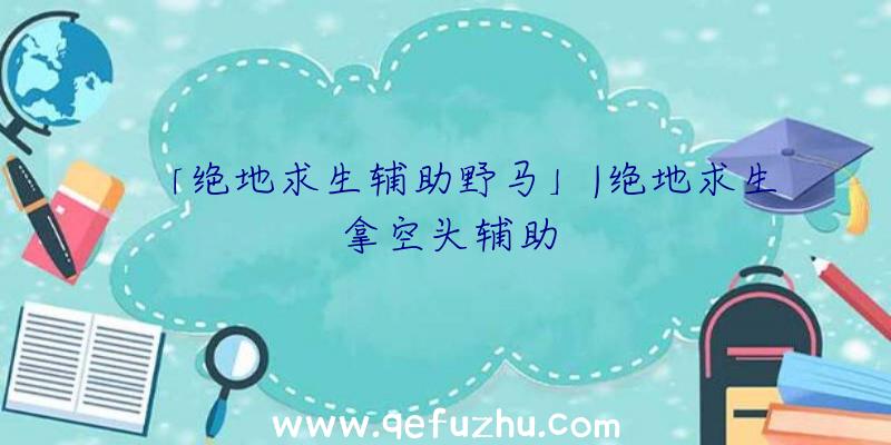 「绝地求生辅助野马」|绝地求生拿空头辅助